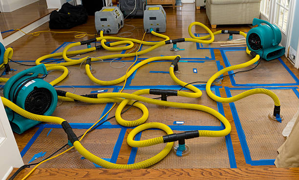 Professional Sewage Cleanup technician working in Normandy, TN